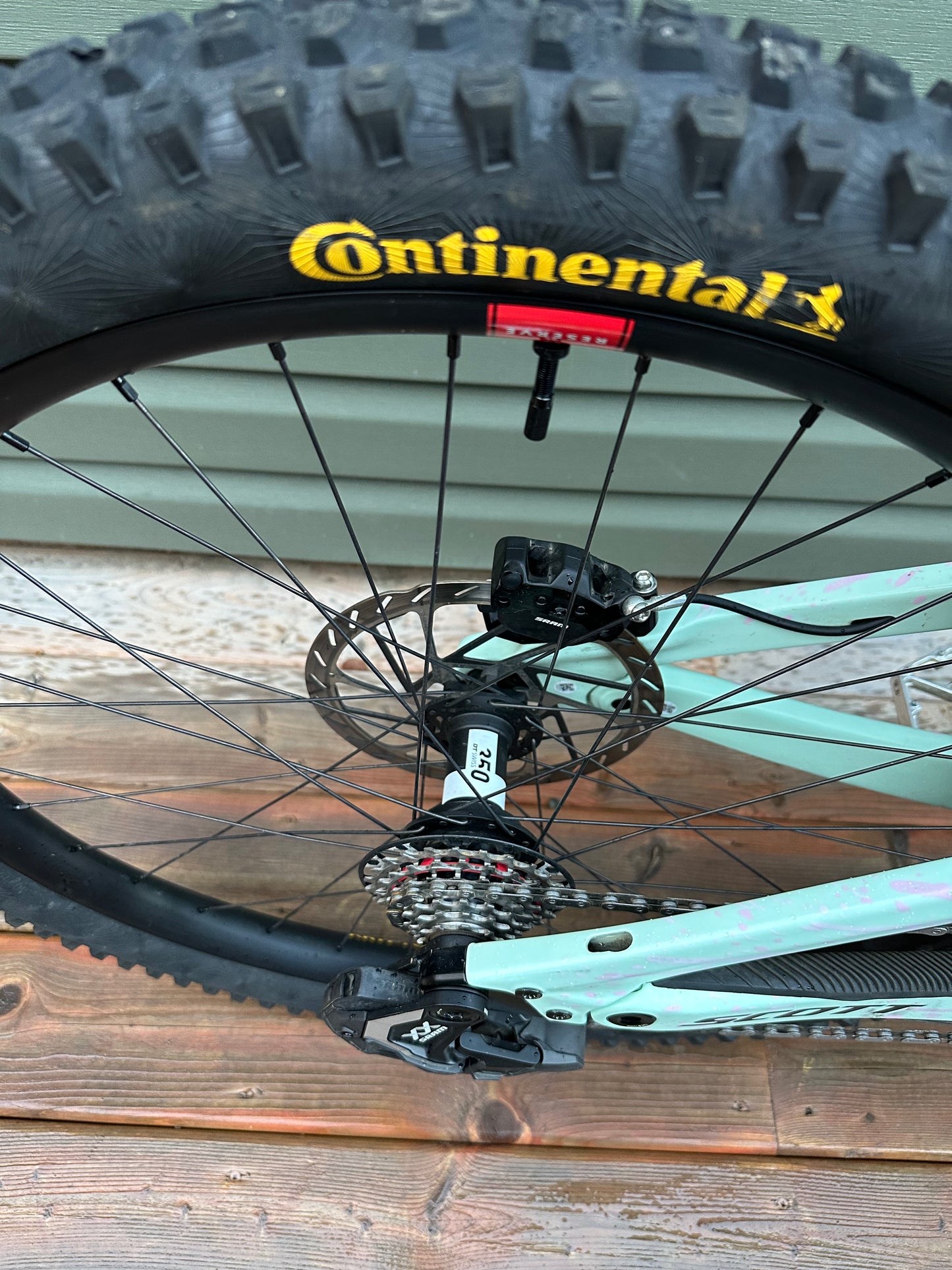 SCOTT GAMBLER XL - Mullet